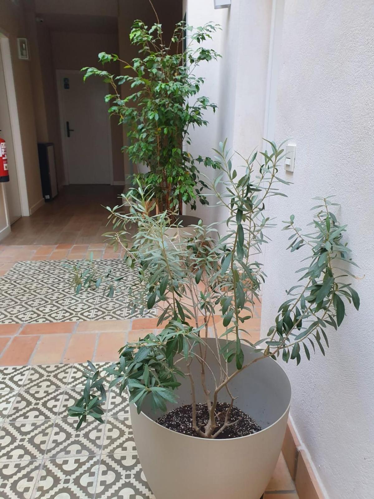 Alegoria Coliving Experience * Sevilla