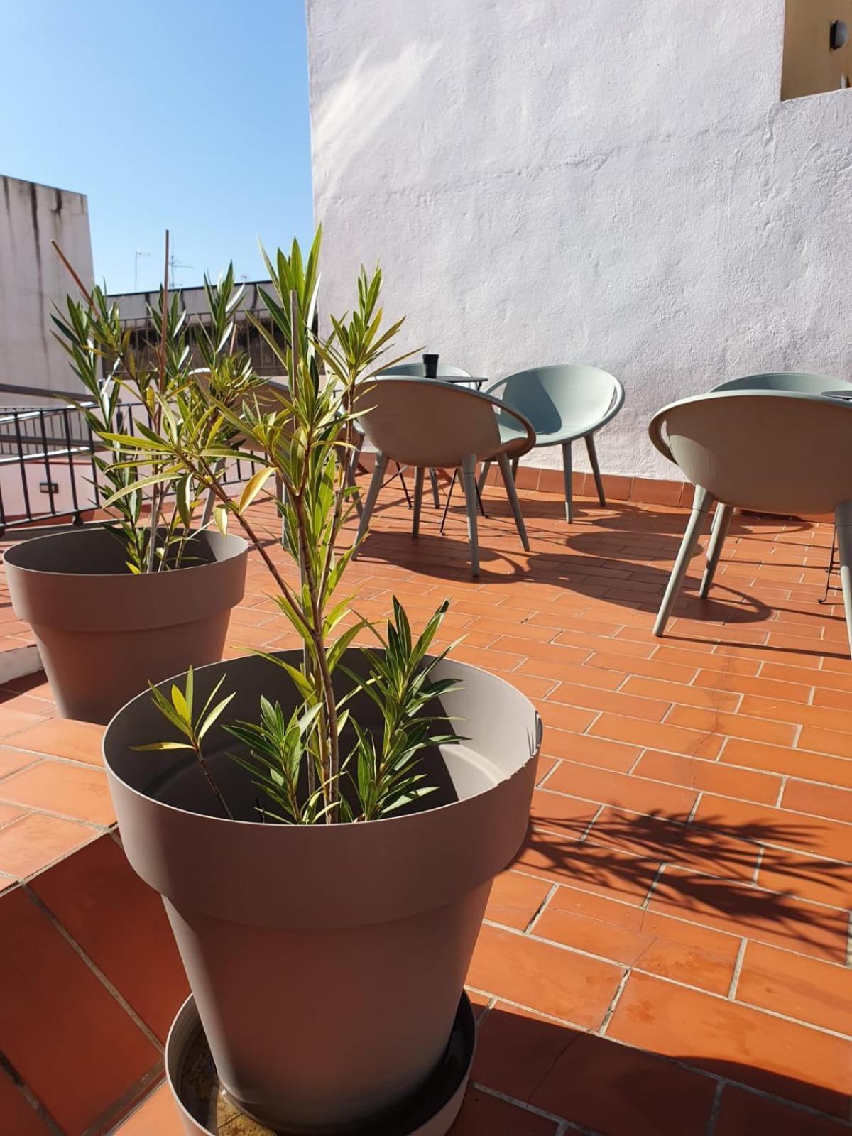 Pensión Alegoria Coliving Experience